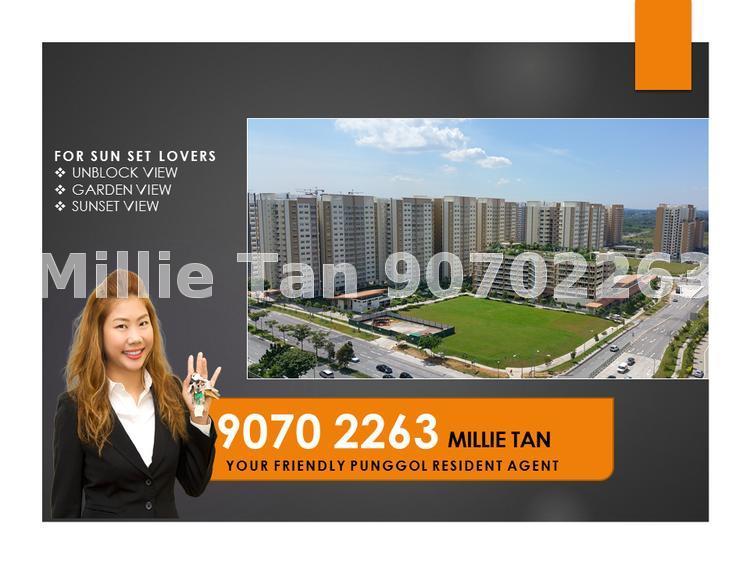 Blk 268B Punggol Field (Punggol), HDB 4 Rooms #137044912